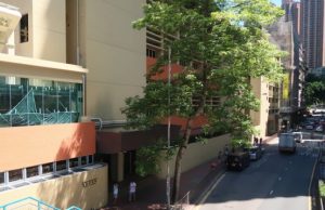 九龍城區中學排名