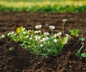 屬土的人適合的行業