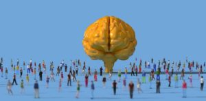 social science 出路