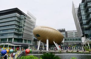 social science 出路