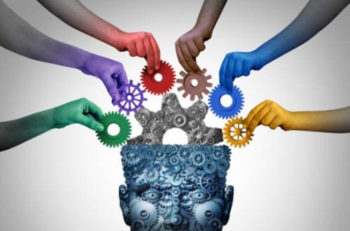 social science 出路