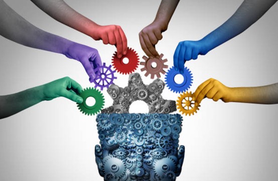 social science 出路