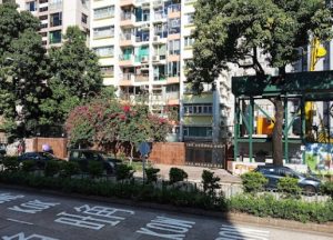 九龍塘小學排名