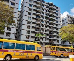 九龍塘小學排名
