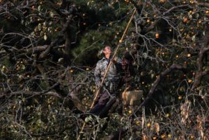 香港冷門高薪工作
