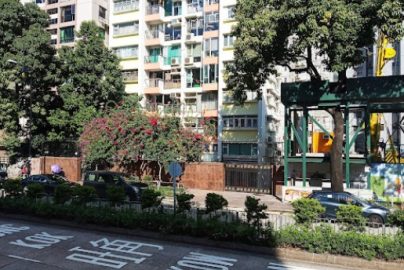 九龍塘小學排名