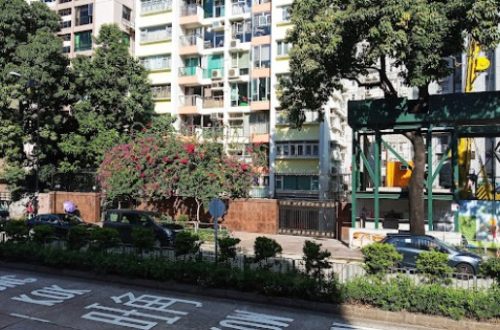 九龍塘小學排名