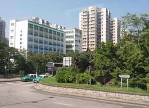 大埔舊墟公立學校排名