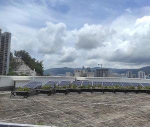 迦密愛禮信中學band幾