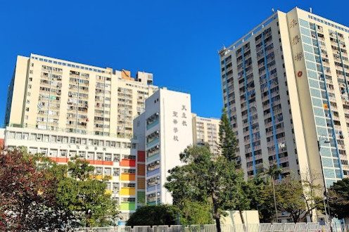 沙田band 1中學排名