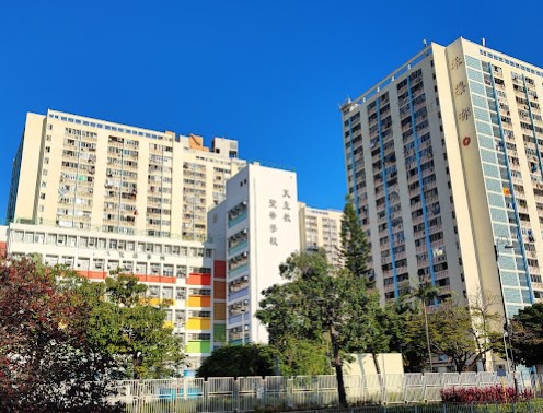 沙田band 1中學排名