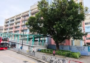 元朗中學跨境生適唔適合