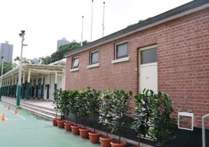 元朗區小學排名2026