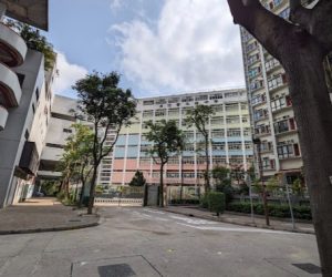 屯門英文班vs中文班