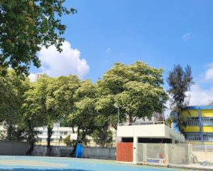 沙田直資中學排名