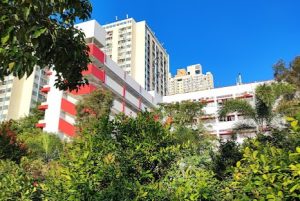 沙田band1中學面試攻略