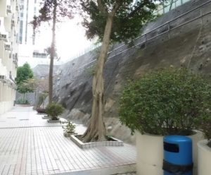 藍田聖保祿中學好唔好