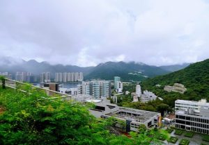 香港本地大學排名