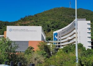 香港直資小學終極比較2026