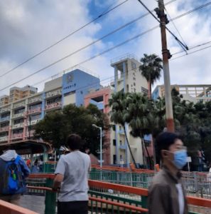 73校網小學排名