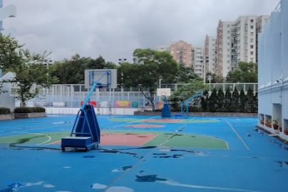 北區中學選校攻略