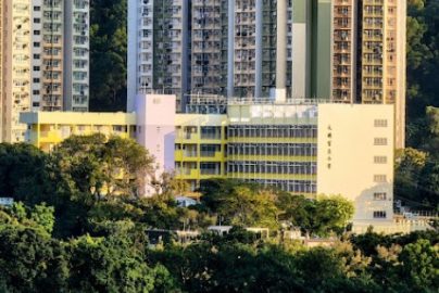 小一自行分配學位攻略2026
