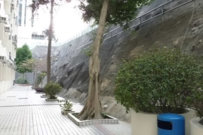 藍田聖保祿中學好唔好