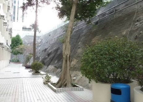 藍田聖保祿中學好唔好