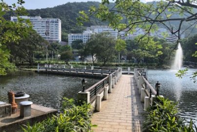 香港本地大學排名