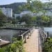 香港本地大學排名