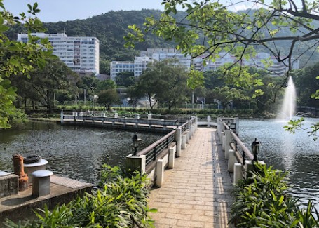 香港本地大學排名