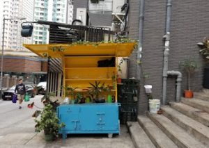 救恩小學中西區排名