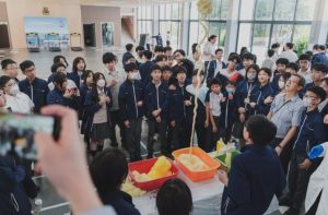 慕光英文書院DSE成績