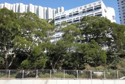迦密愛禮信中學升大學率