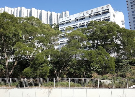 迦密愛禮信中學升大學率