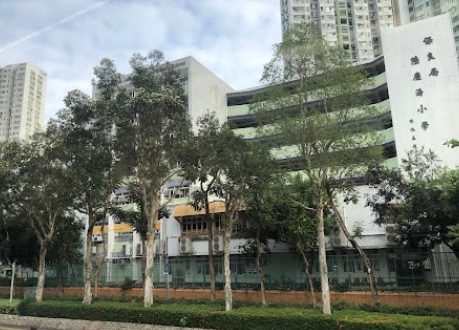 陸慶濤小學