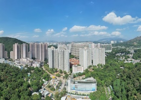 香港中學排名