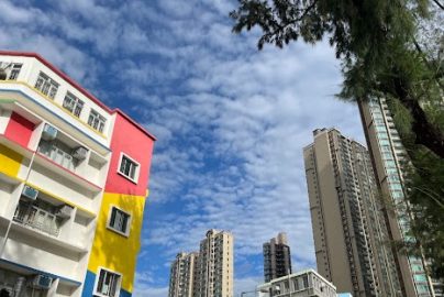 34校網vs 41校網